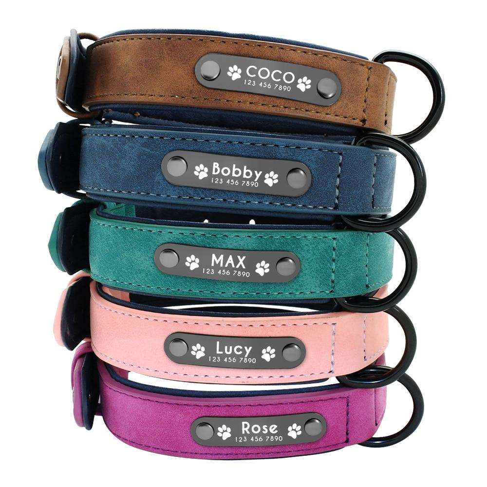 Personalized dog outlet collar and leash