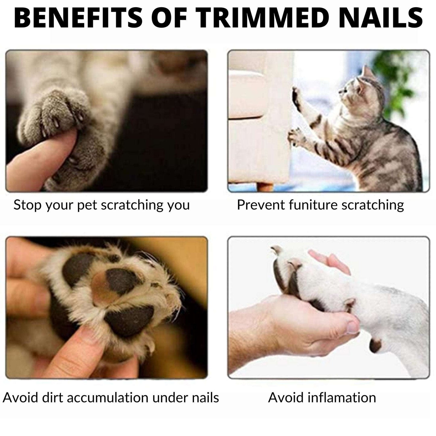Portable Dog Nail Grinder - Waggy Tails