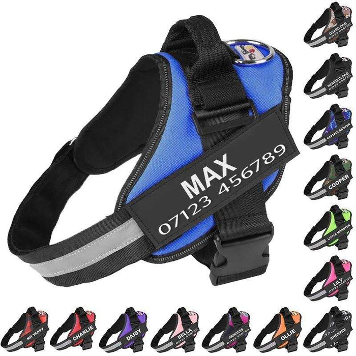 Harnesses