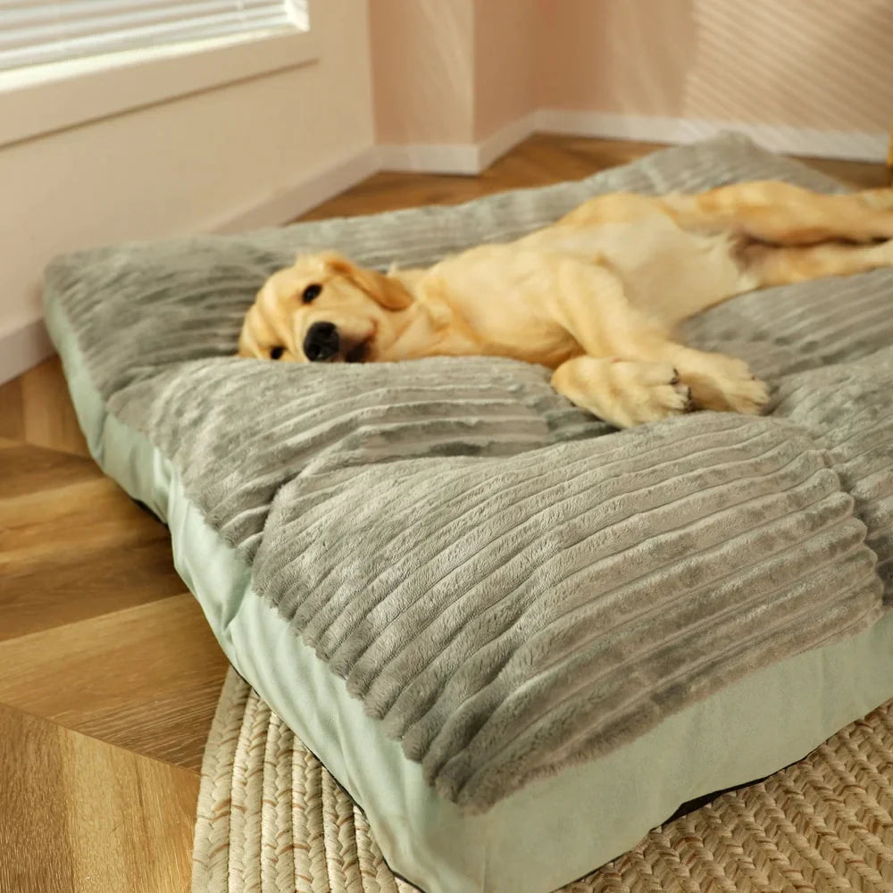 Modern Pet Sofa Bed