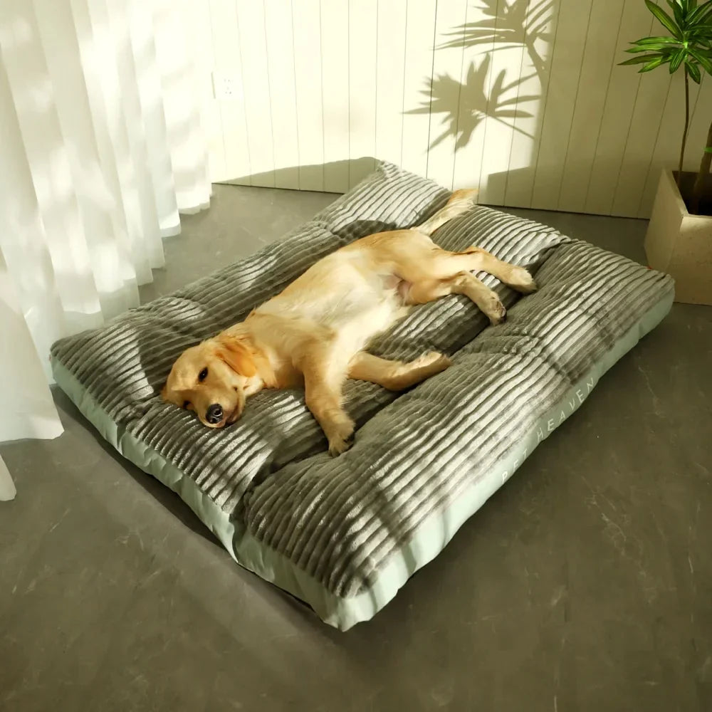 Modern Pet Sofa Bed