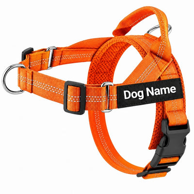 Personalised Lightweight Dog Harness with Name Patch