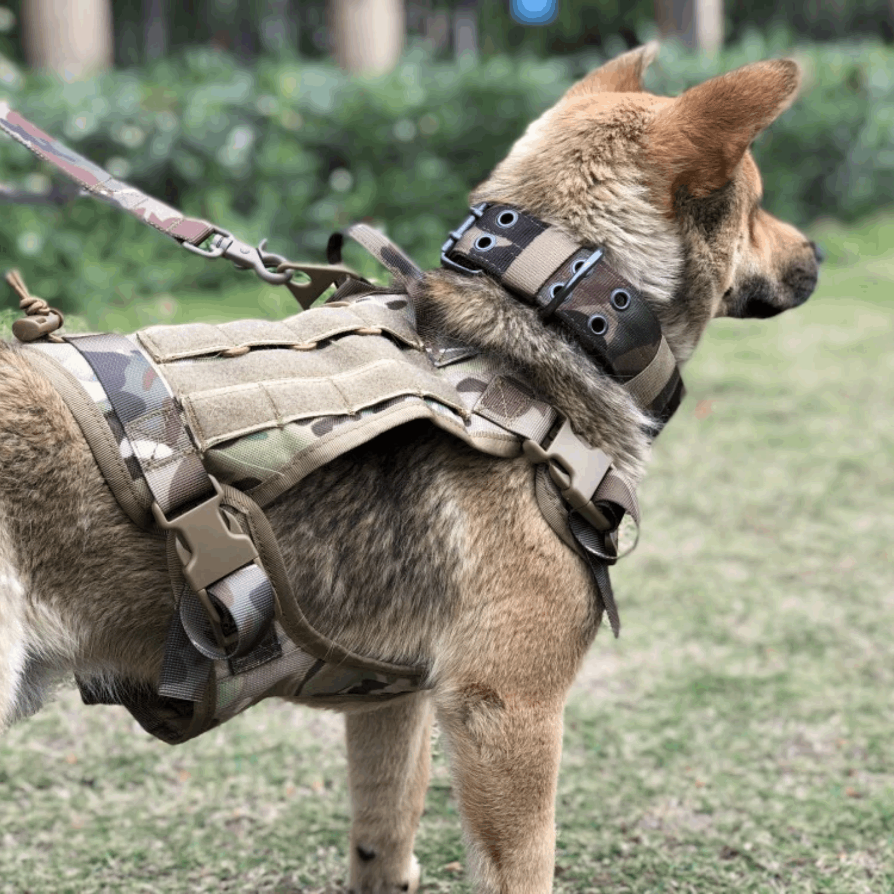 Tactical No Pull Dog Harness1