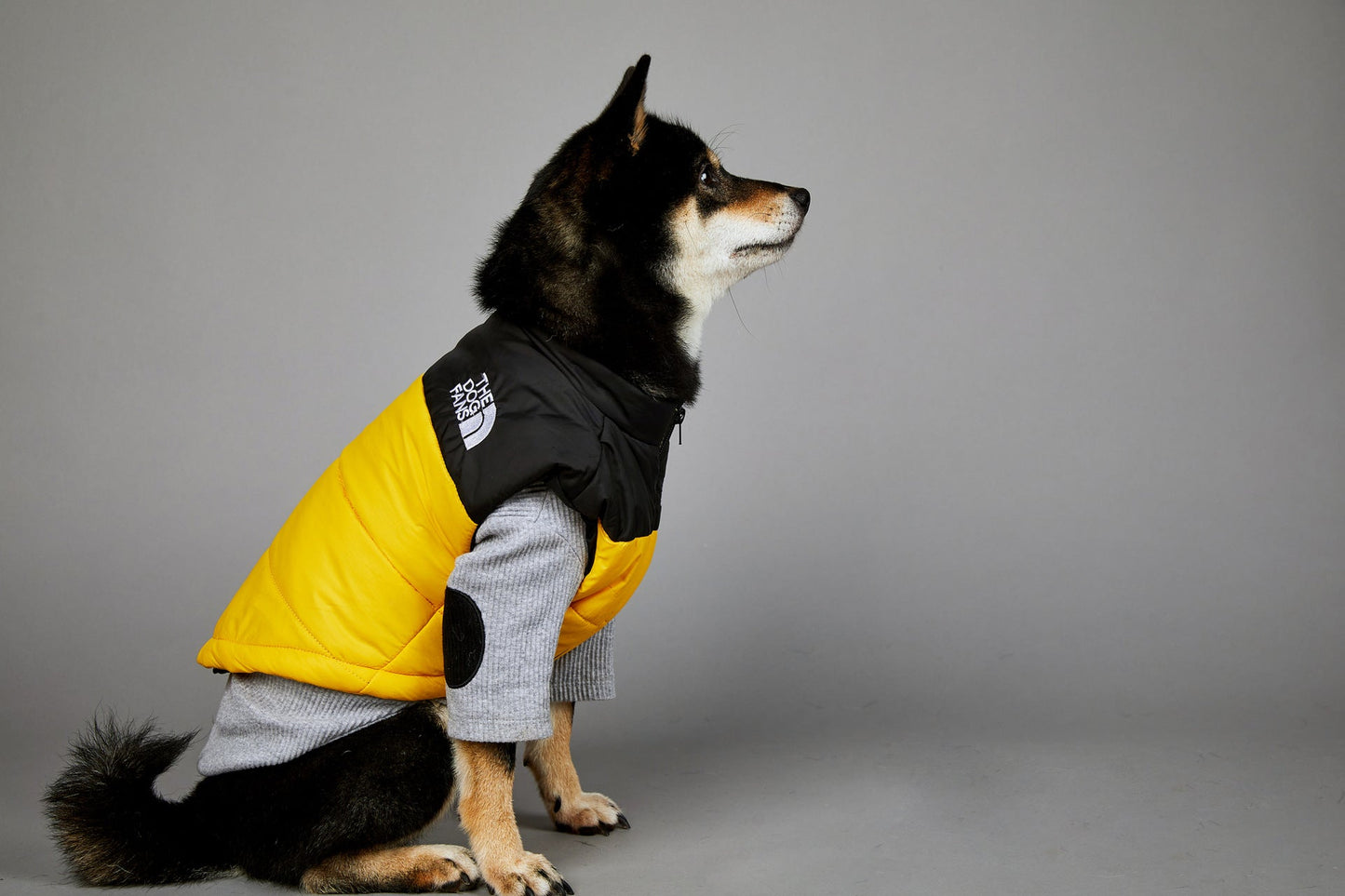 The Dog Fans Vest