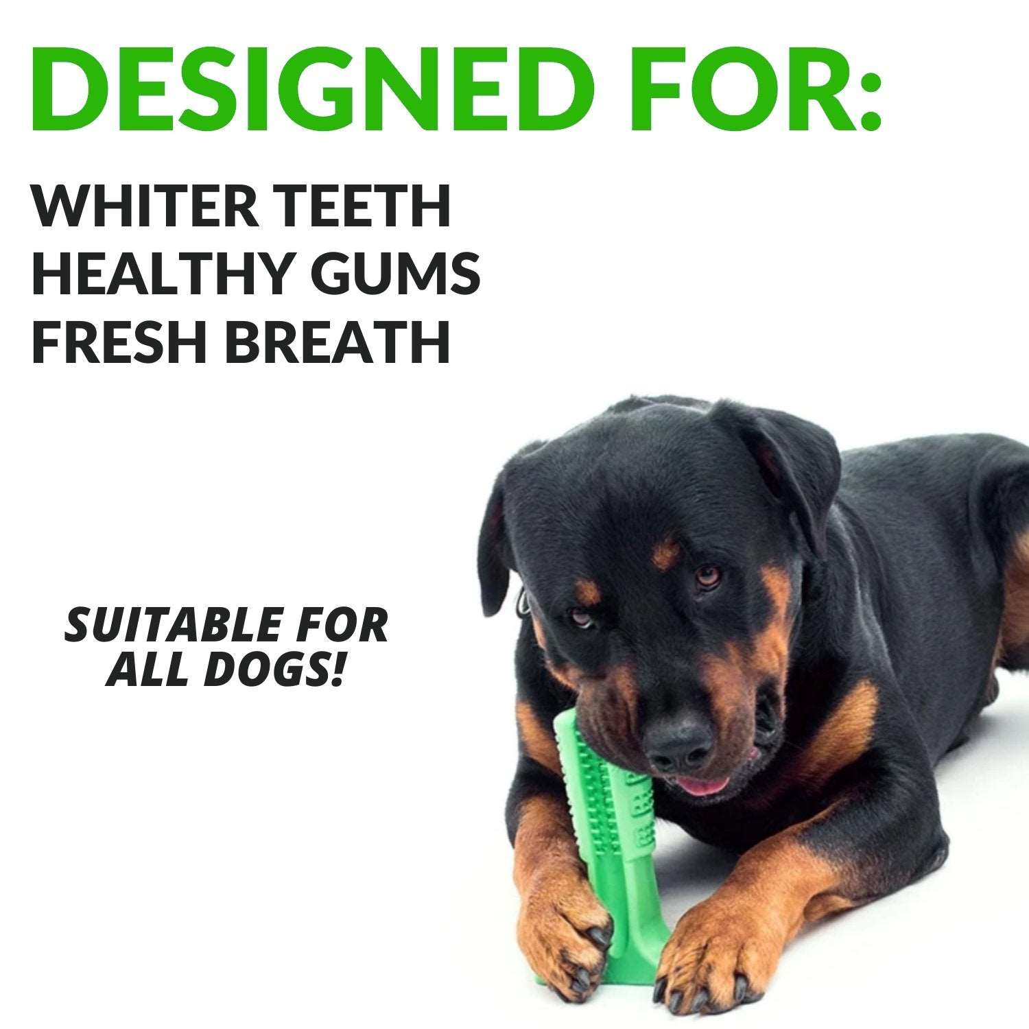 Chew toothbrush for dogs best sale