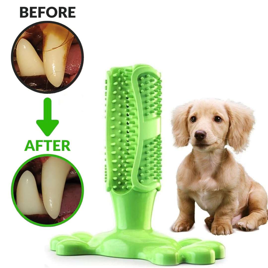 Dog store brush toy