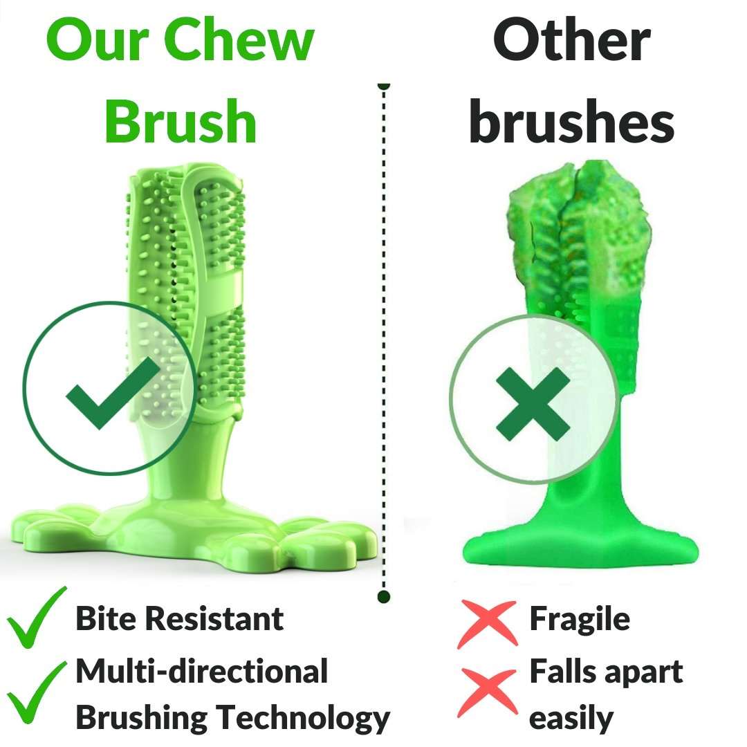 Chew brush 2024