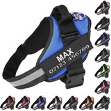 Personalised No Pull Dog Harness shown in every available colour