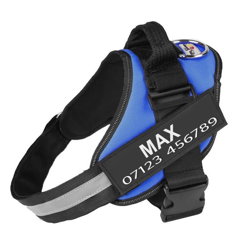 Personalised No Pull Dog Harness — XS / Blue