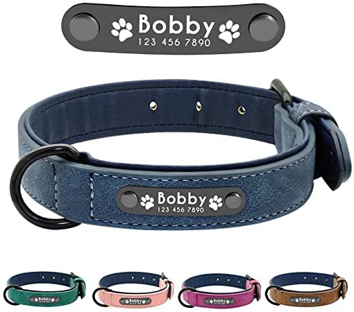 Personalised dog clearance collars and leads