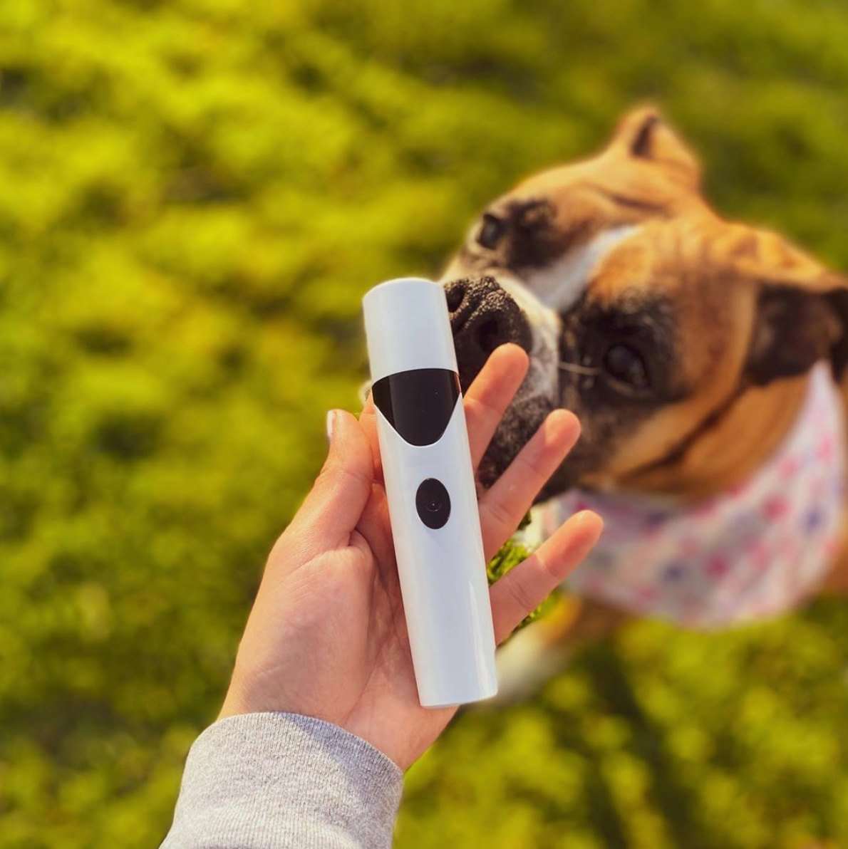 Portable Dog Nail Grinder - Waggy Tails