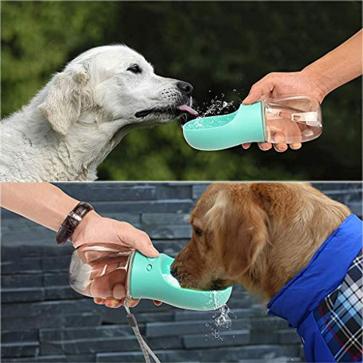 Portable Dog Water Bottle - Waggy Tails