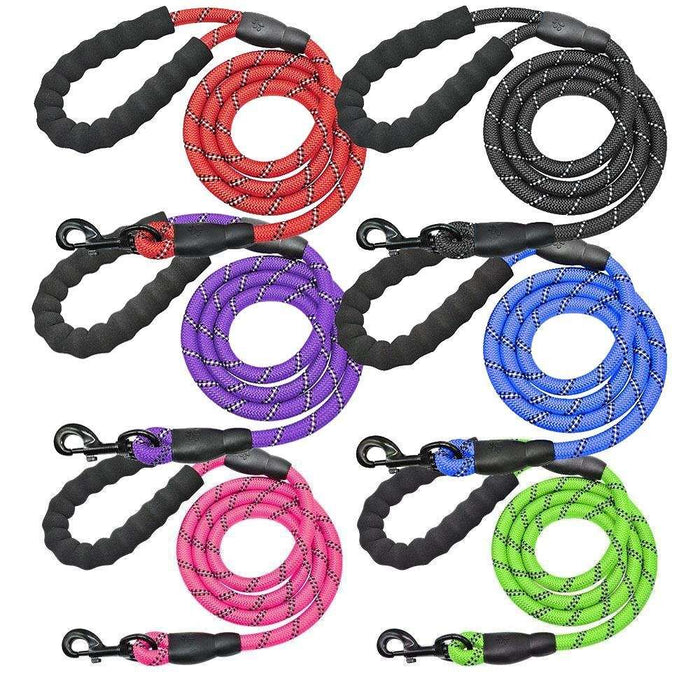 Leads/Leashes